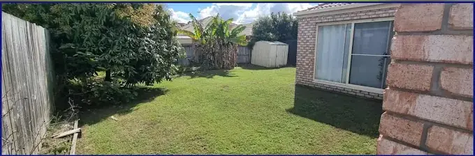 Recovering back lawn in Ipswich after lawn grub treatment and a regular mow